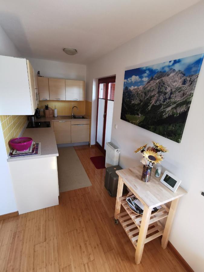 Apartma Neva 보히니 외부 사진